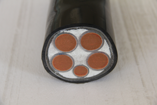 �������¹��ϵ�5���Ų鷽��