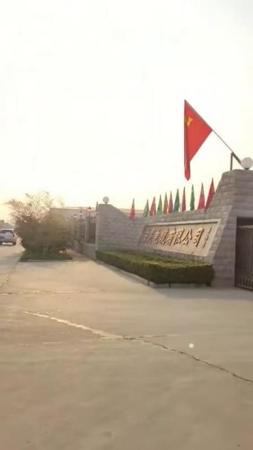 66mo���Ź��ʵ���ѡ��������ͭ