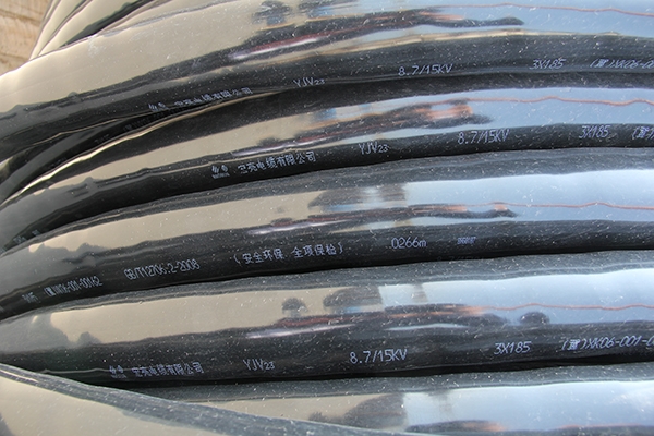 66mo���Ź��ʵ��¸������������ϻ�������Σ��