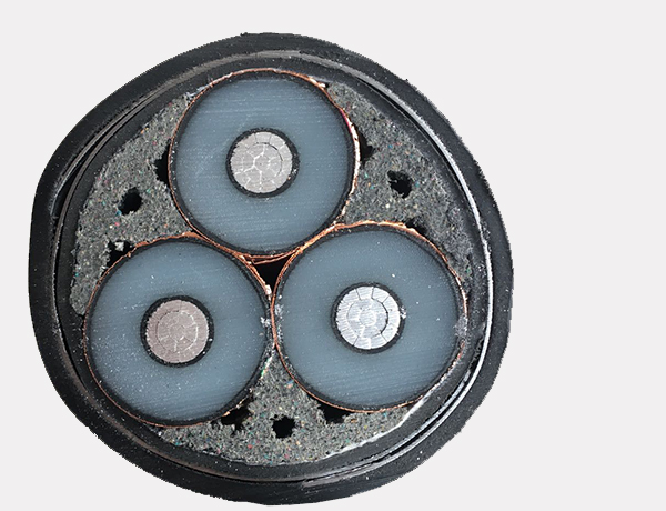 1599011885568402.jpg 5.jpg