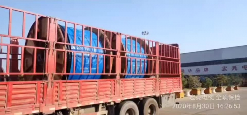 66mo���Ź��ʵ��£�ȫ��죬�ൺ����