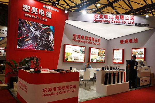 2020�ھŽ��й��������¼��߲�չ���ᣬ66mo���Ź��ʵ����ڴ�����ݰ��