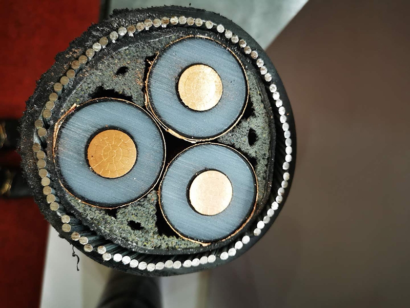 ���ߵ�����ҵ����չ   66mo���Ź��ʵ�����������ÿһ����Ʒ