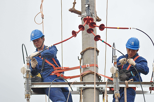 1604908548597475.jpg timg.jpg