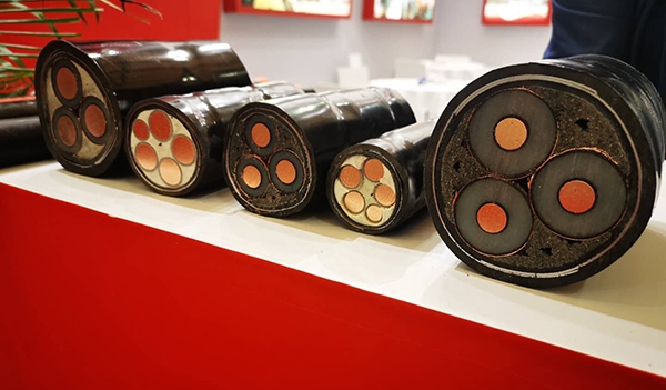 �������³���-66mo���Ź��ʵ���