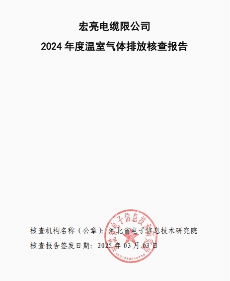 ��������˲鱨�棨2024�꣩